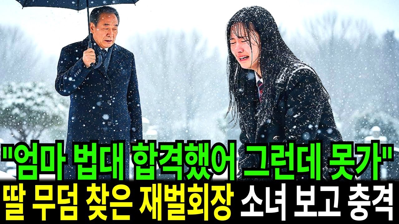 “엄마 나 법대 합격했어 그런데 못가” 딸 무덤 찾은 재벌회장, 대학가지말고 일해서 돈이나 벌라고 하네요ㅣ노후사연ㅣ감동사연ㅣ사연라디오ㅣ오디오북