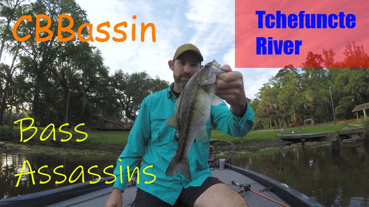 CBBassin Bass Assassins tournament on Tchefuncte River