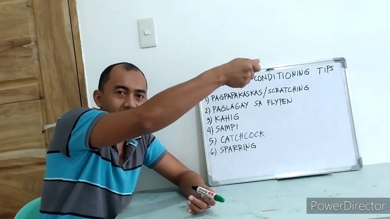 Gamefowl Physical Conditioning Exercises/Tips