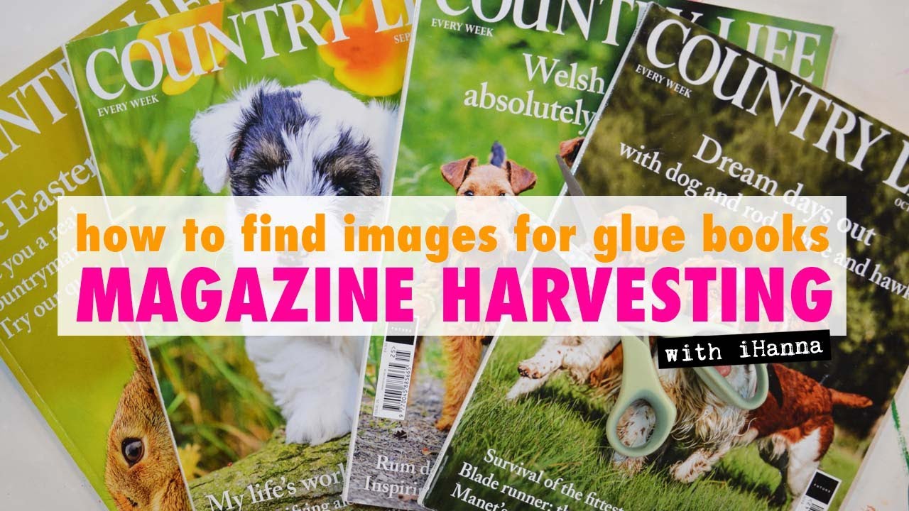Magazine harvest for COLLAGE IMAGES #gluebook