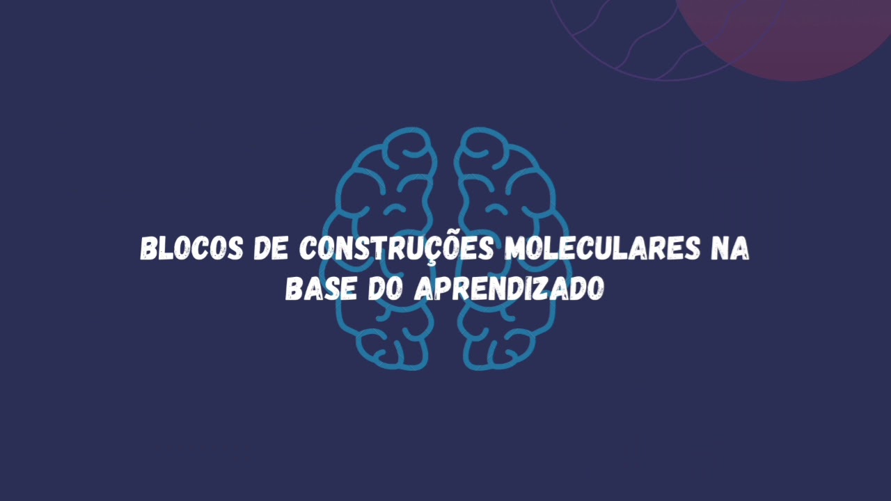 Aprendizado e memória -  parte 2
