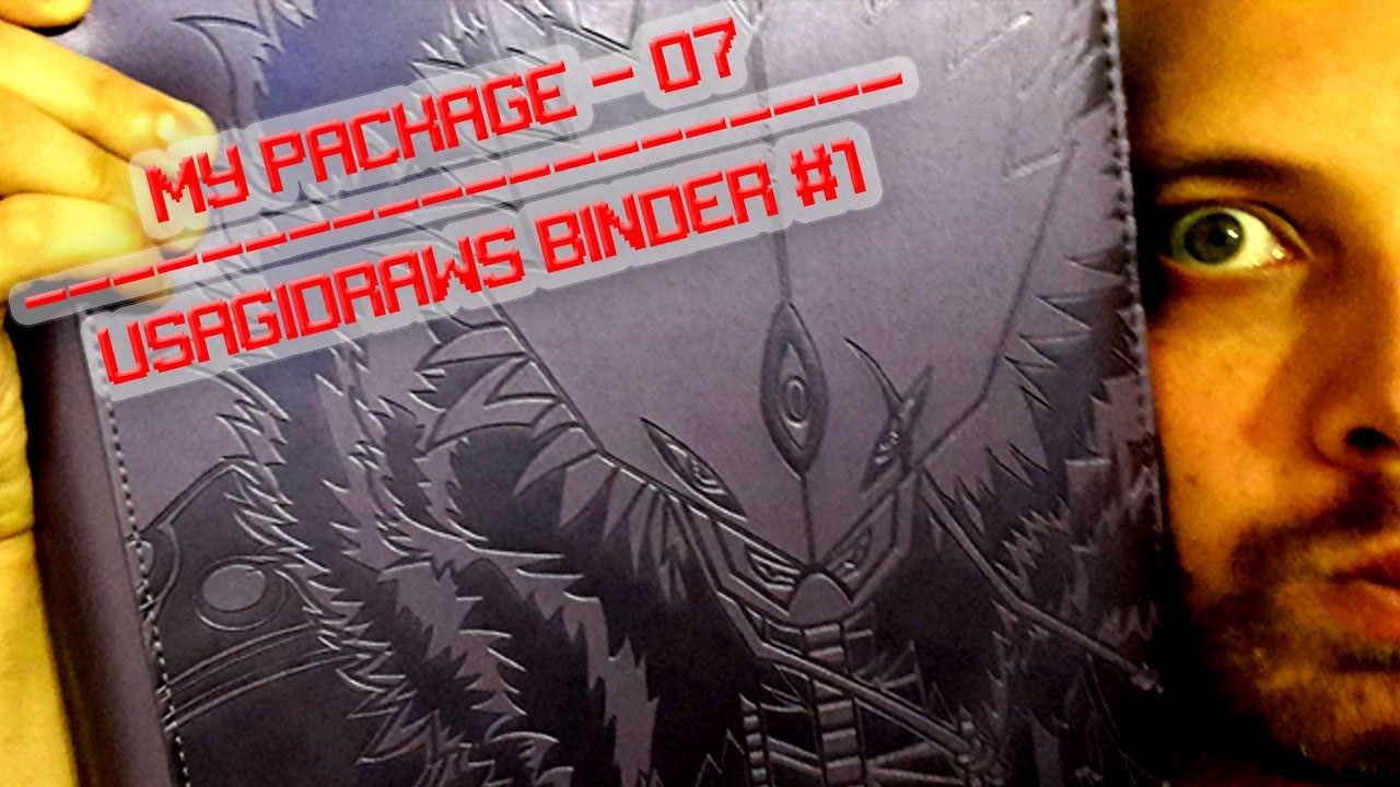 My Package #7 - UsagiDraws Beelzemon Binder