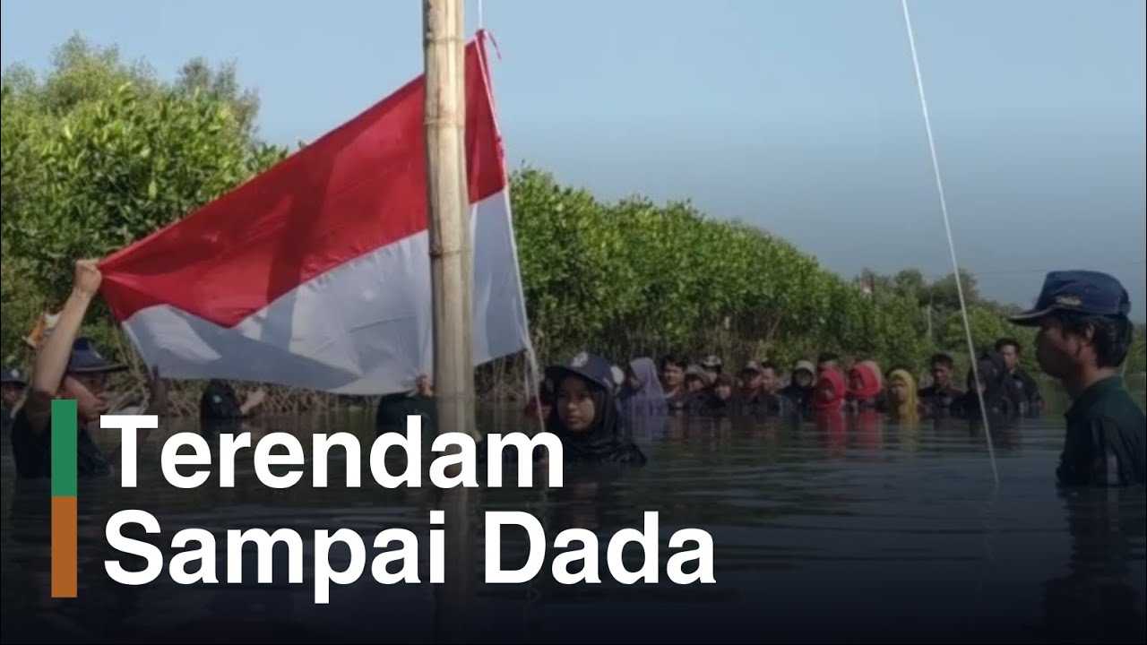 Upacara Bendera di Lumpur Mangrove
