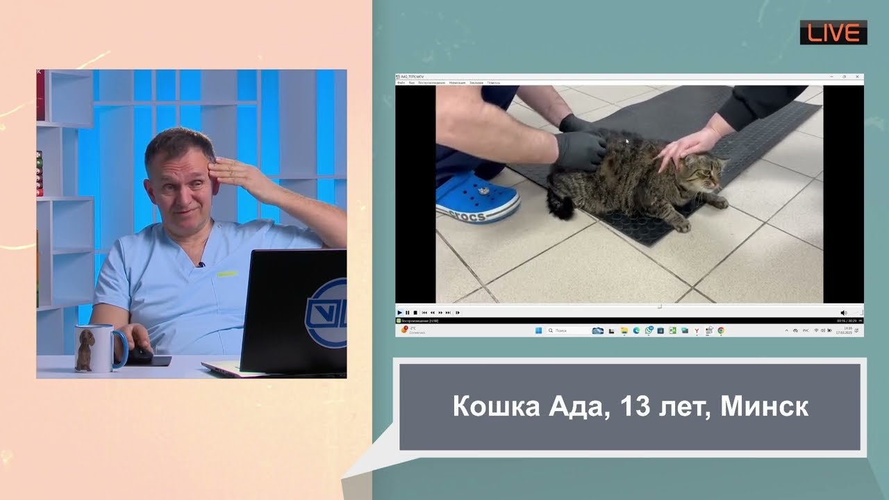 Лечение через интернет много интересного можно узнать