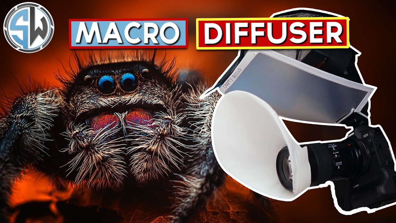 My Best Macro Image Yet With A New Flash Diffuser!