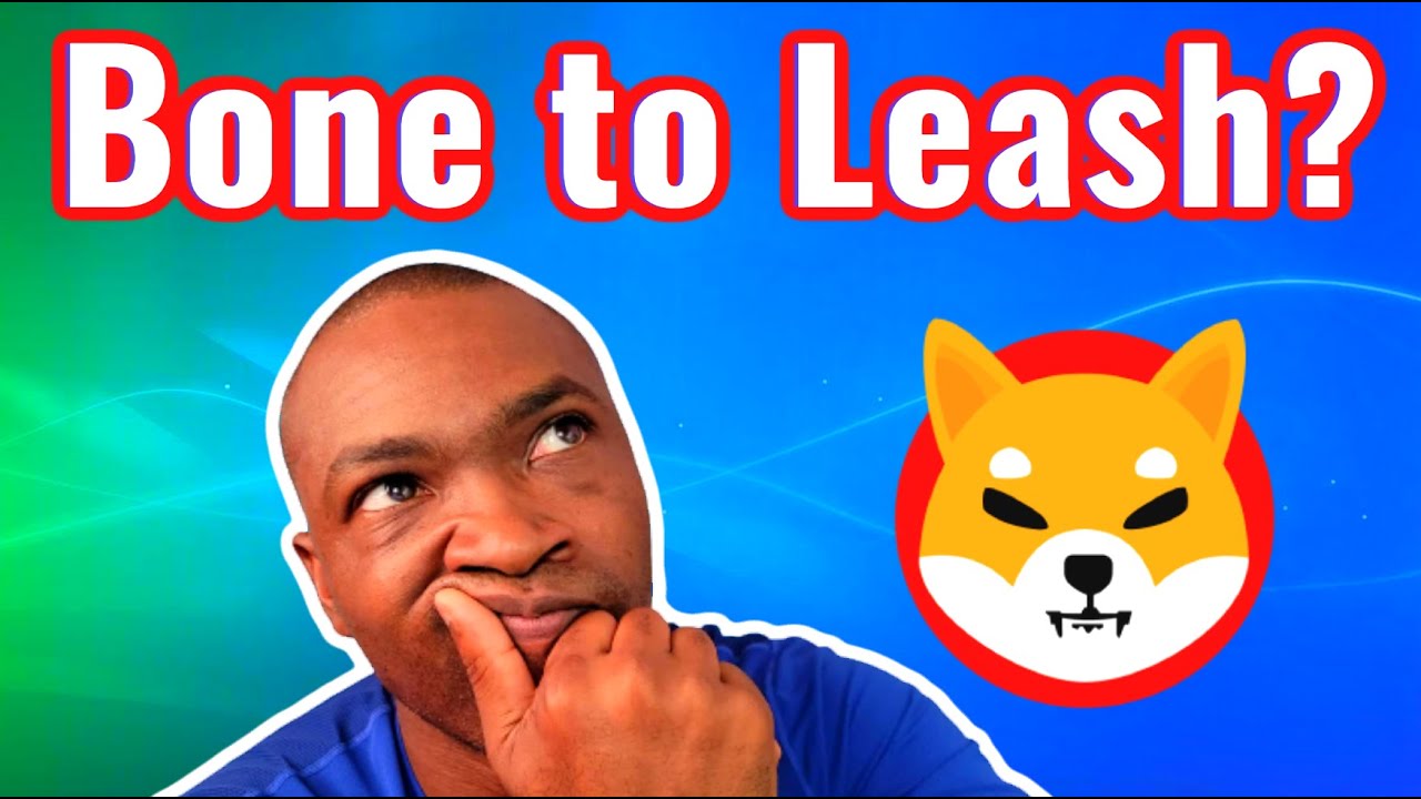 Bone to Leash? Why I Swapped 900 Bones to Collect 2 Leash - Shib Swap Tutorial Strategy (SHIB)