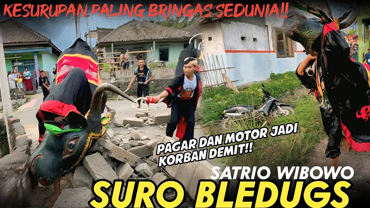 KESURUPAN PALING HOROR SEDUNIA!! bantengan mberot suro bledugs obrak abrik kampung robyong!!