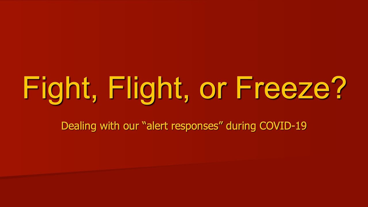 Fight, Flight, or Freeze? Dealing with our “alert responses” during COVID-19