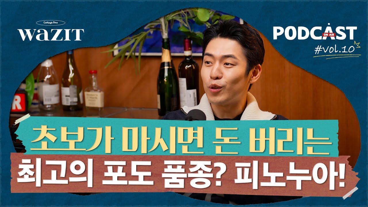 피노누아 와인을 마시기 전에 꼭 보세요 (굿바이 송기범, 쥬브레 샹베르땡, 포도 품종, 와인 추천)
