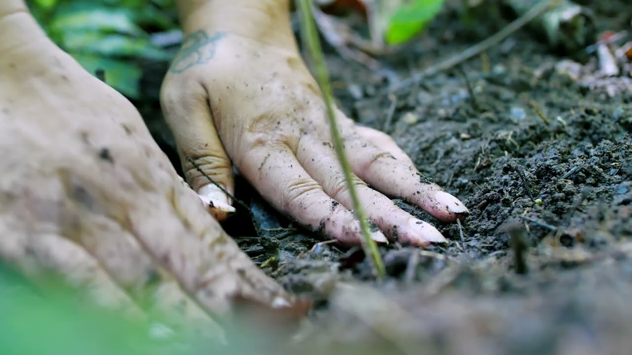 AOA, la naissance d'un projet pour la biodiversité