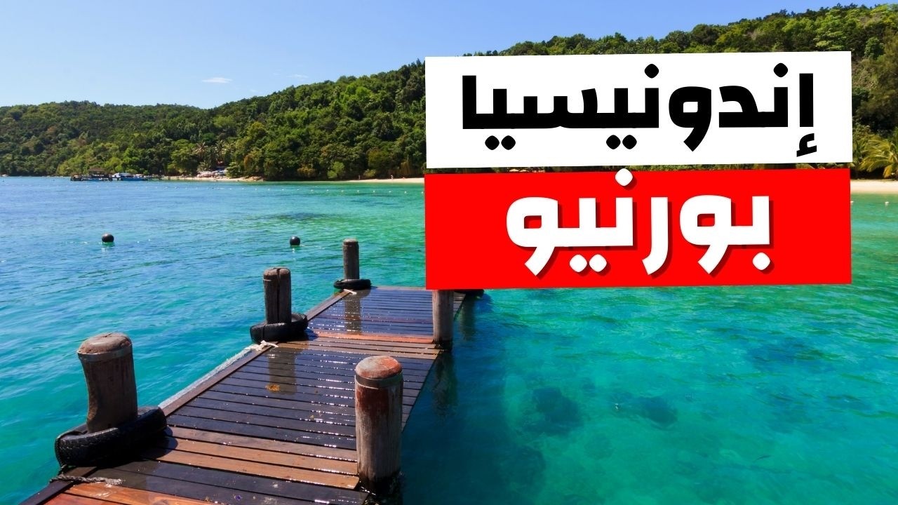 جزيرة بورينو جوهرة إندونيسيا المغمورة: جولة أجمل معالم وأنشطة مع أسعار