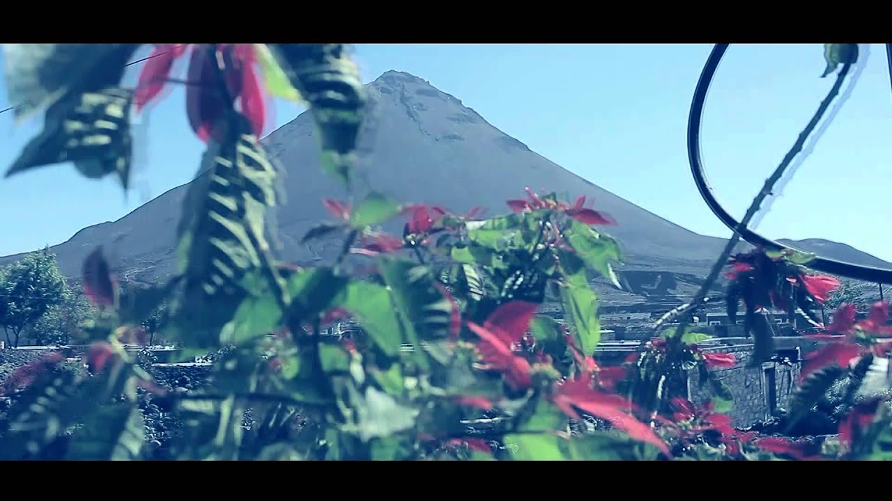 TIMAS - DJARFOGO  VIDEO OFICIAL