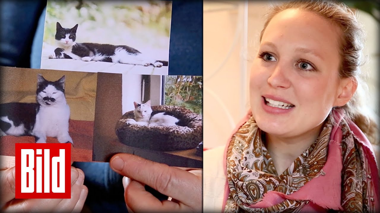Tote Katzen im Jenseits - Frau arbeitet als Tiermedium