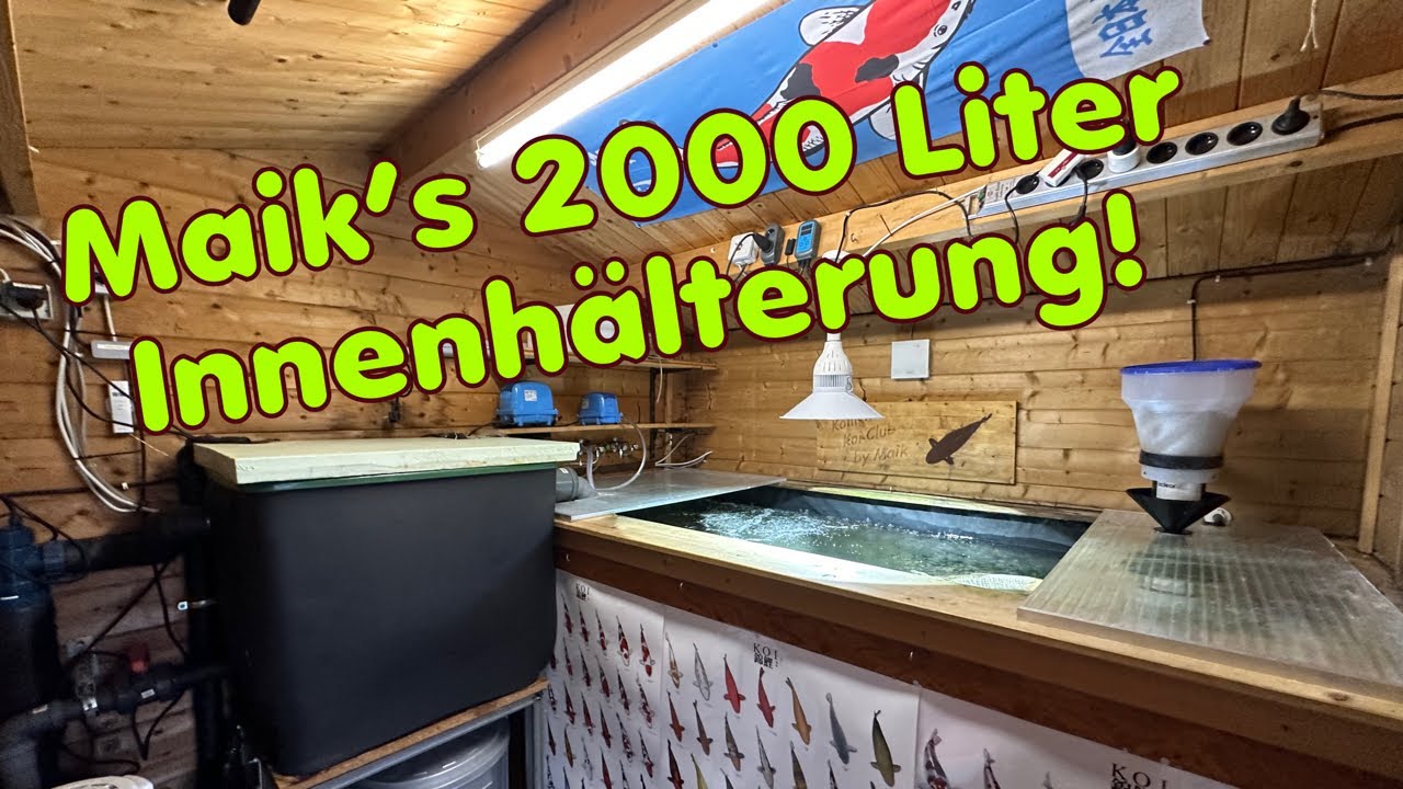 Maik‘s mehrfach umgebaute 2000 Liter Innenhälterung!