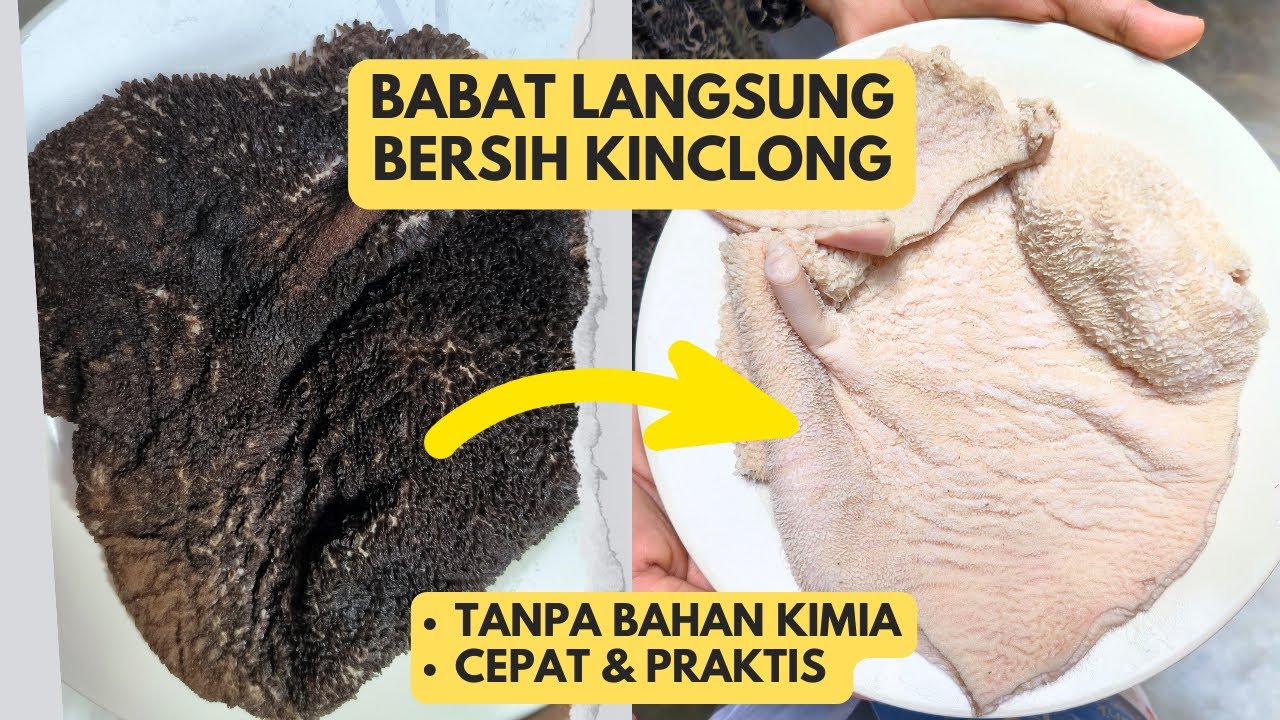 Cara Membersihkan Babat Sapi Biar Putih Dan Bersih Tanpa Bahan Kimia Kapur Sirih Cepat Dan Praktis