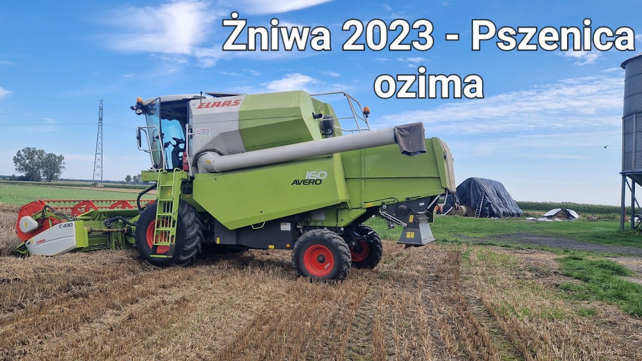 ŻNIWA 2023 okiem kombajnisty! ⛅️ 📹 [GoPro CabView] 🌾 Koszenie pszenicy ozimej Claas'em Avero 160 🔥