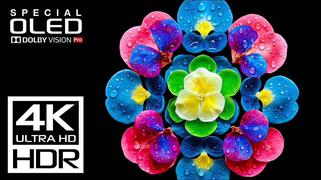 REAL OLED TEST - Best HDR 4K Video ULTRA HD 120 fps Dolby Vision Demo