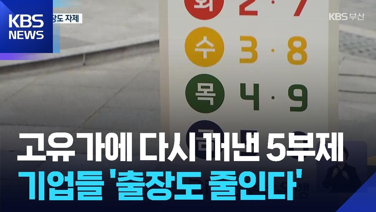 민간도 &lsquo;차량 5부제&rsquo;&hellip;고유가 대응 안간힘 / KBS  2026.04.02.