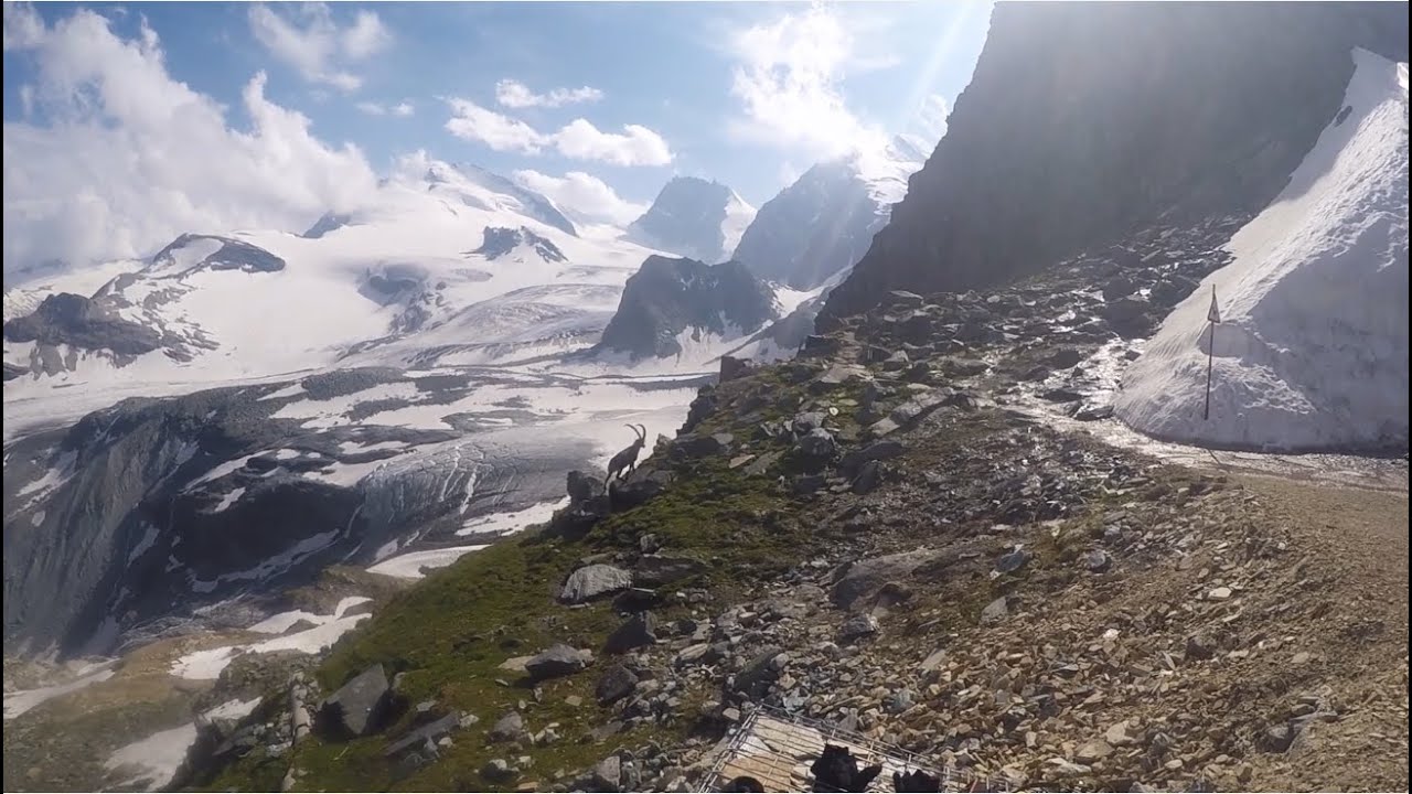 ALLALINHORN JUILLET 2015