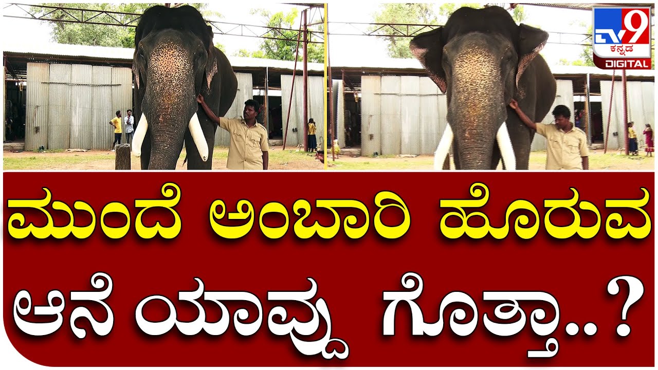 Dhananjaya: ಇಂಜೆಕ್ಷನ್ ನೋಡಿದ್ರೆ ಭಯ ಬೀಳ್ತಾನೆ ಈ ಧನಂಜಯ..! | Tv9 Kannada
