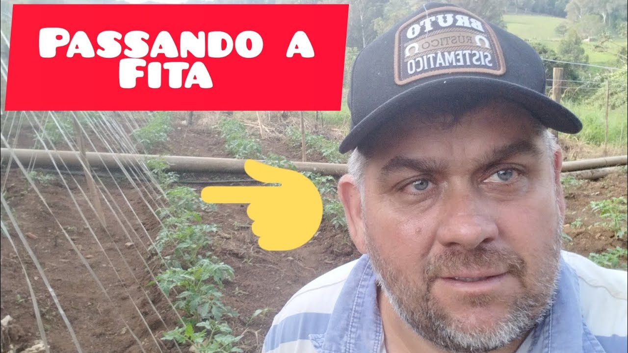vamos passar o fita na vertical no tomate 🍅!!