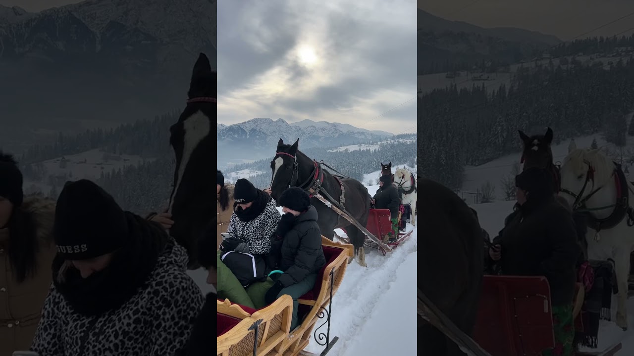 #kulig widokowy Zakopane #aktualnie #zakopane #zima #winter #poland