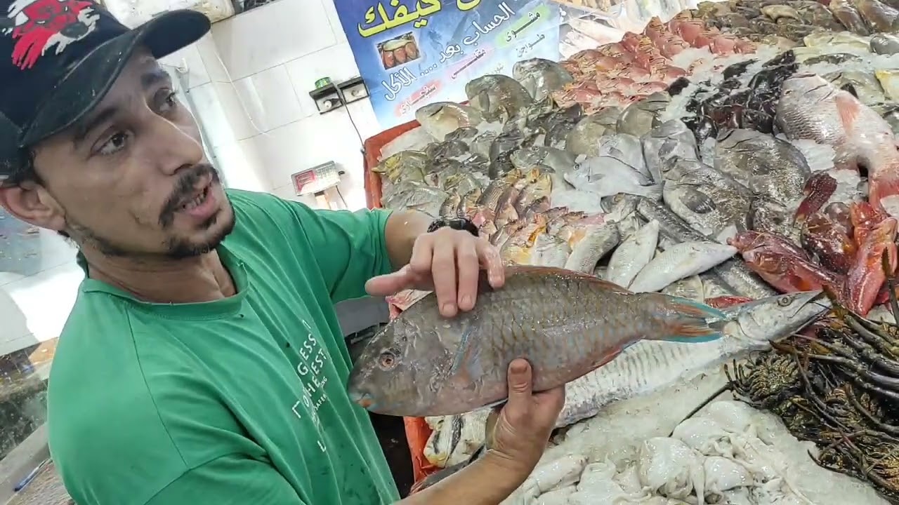 جولة في حلقة السمك بالغردقة أسعار وأنواع هتبهرك