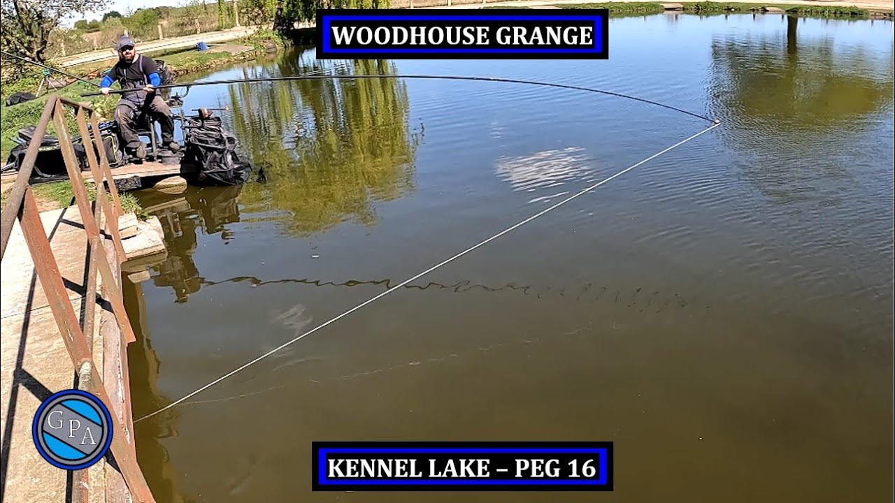 Woodhouse Grange - Kennel Lake - Peg 16
