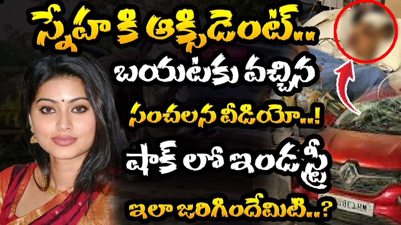 స్నేహ కి ఆక్సిడెంట్.. బయటకు వచ్చిన | sneha opens up on horrific accident | Hv Media
