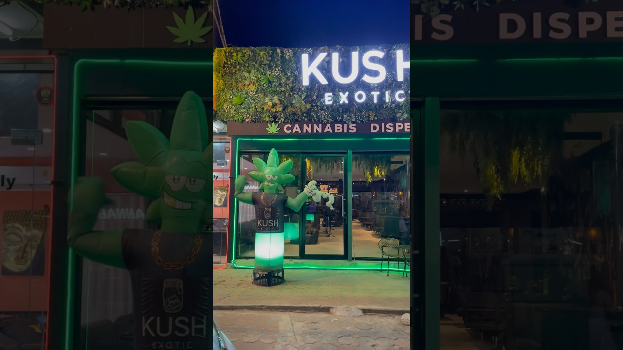 Cannabis Shop: KUSH Exotic - Green Man Inviting Koh Samui Island #cannabis #marijuana #420 #weedshop
