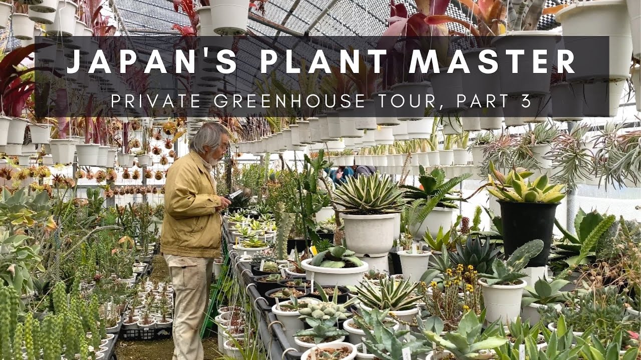 Kunzo, Japan's Plant Master; Part 3 | Succulents & Cacti | Private Greenhouse Nursery Tour | Ep 77