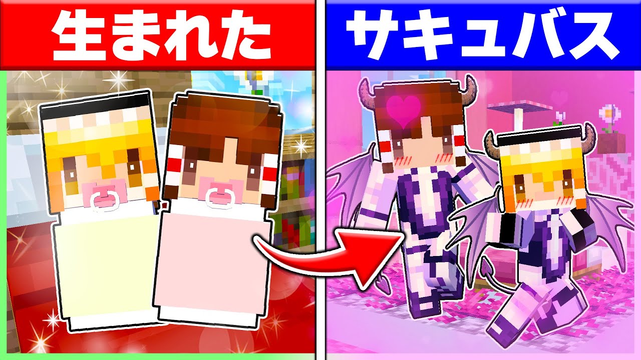 🍬サキュバスとして生まれた霊夢と魔理沙😈💕【ゆっくり実況/まいくら/マインクラフト】