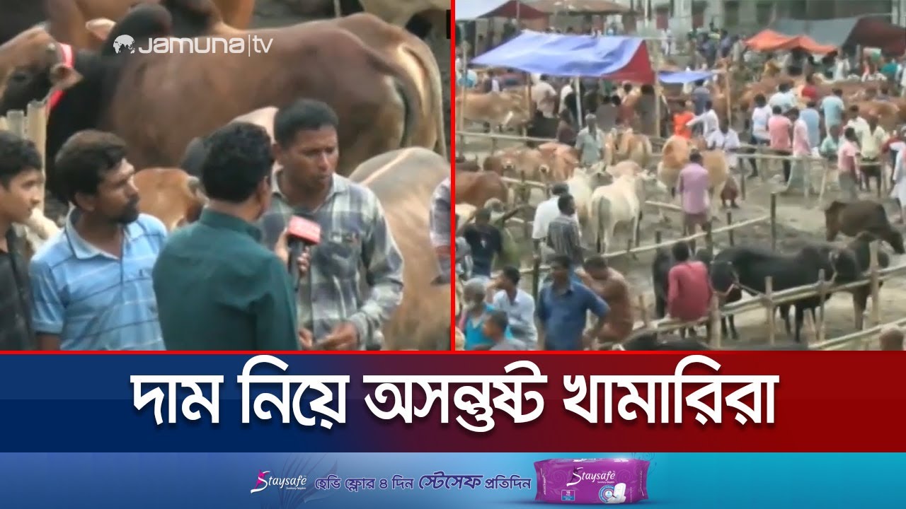 রংপুরে কোরবানির পশুর হাটে দেশি গরুর পাশাপাশি মিলছে ভারতীয় গরুও | Rangpur cow hut | Jamuna TV
