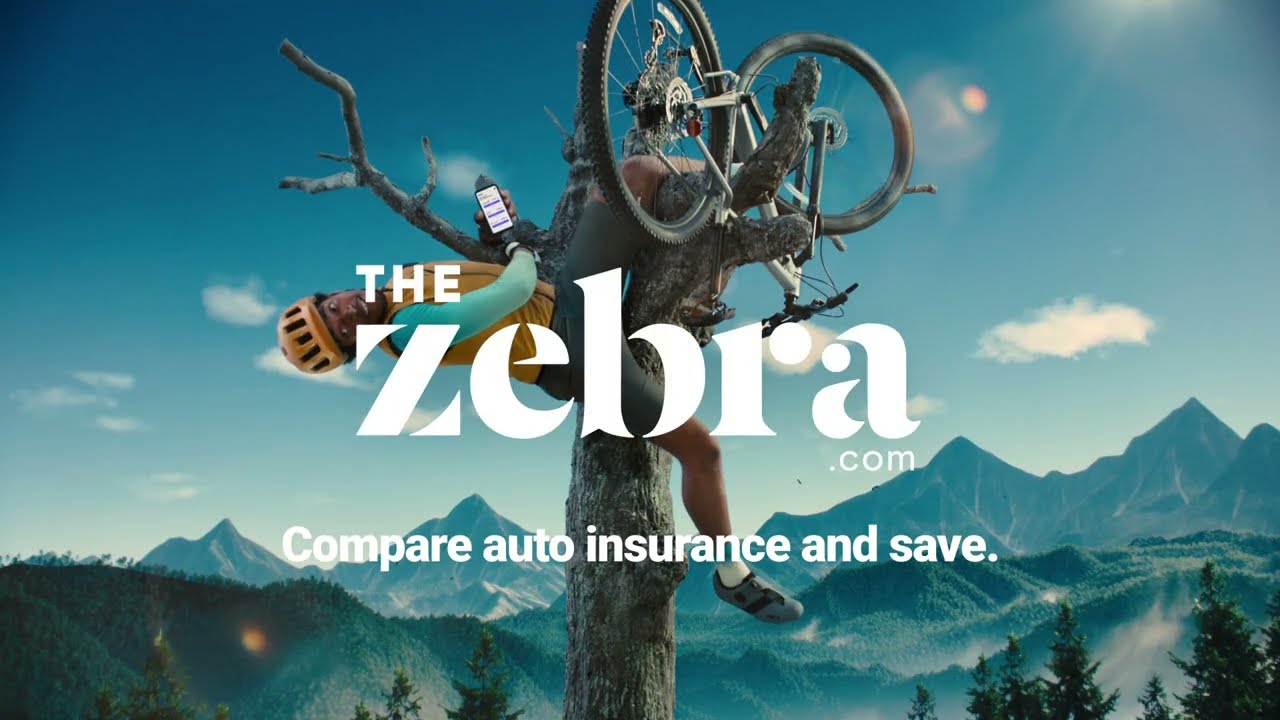 Rates Went Up? Compare Auto Insurance Quotes Fast | The Zebra