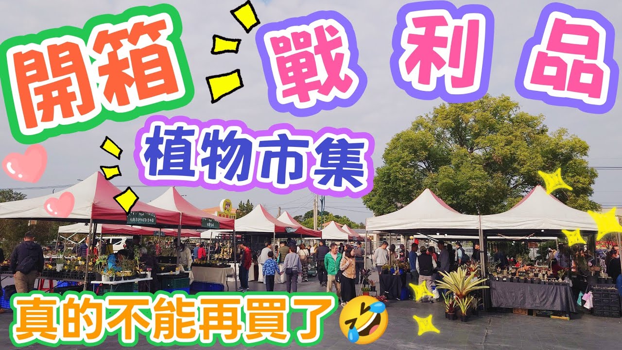 ［阿郁開箱］植物市集戰利品#塊根#塊根植物#龍舌蘭#多肉植物#多肉#盆景#盆栽#沙漠玫瑰#花園#植物#植物燈 #生活#有趣#開箱#療癒#鹿角蕨#觀葉植物#花市#園藝#田尾#教學#花#仙人掌#禮物#優惠