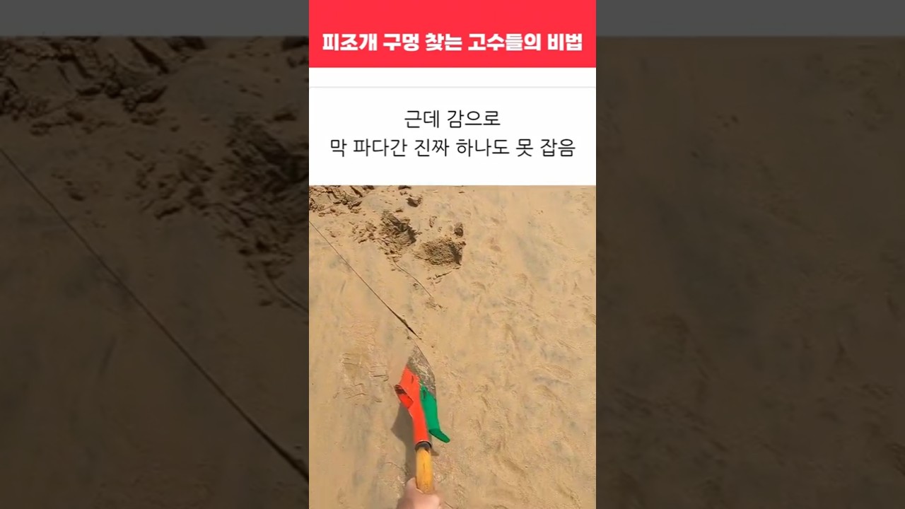 피조개 구멍 찾는 고수들의 비법