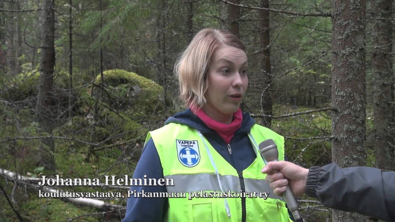 Pelastuskoirat