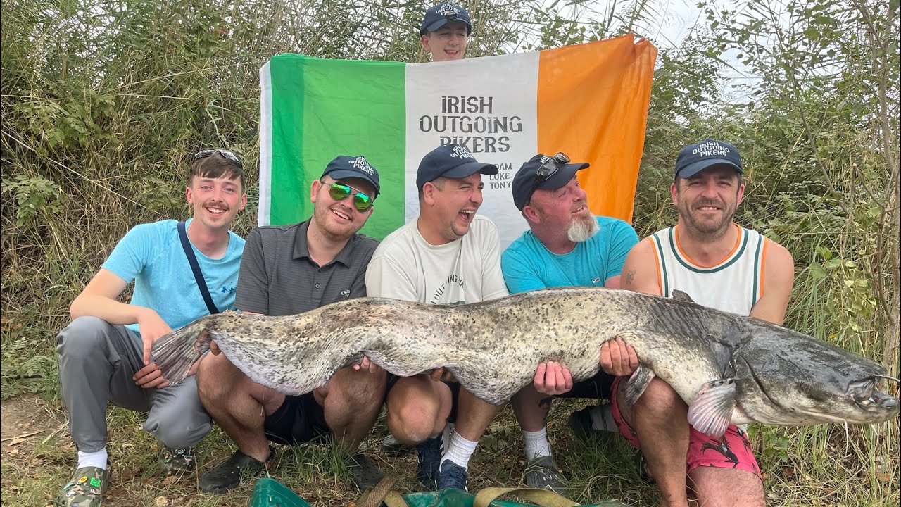 My experience CATFISH FISHING on the river EBRO in Spain!! #fishing #catfish #lukesgonefishing1