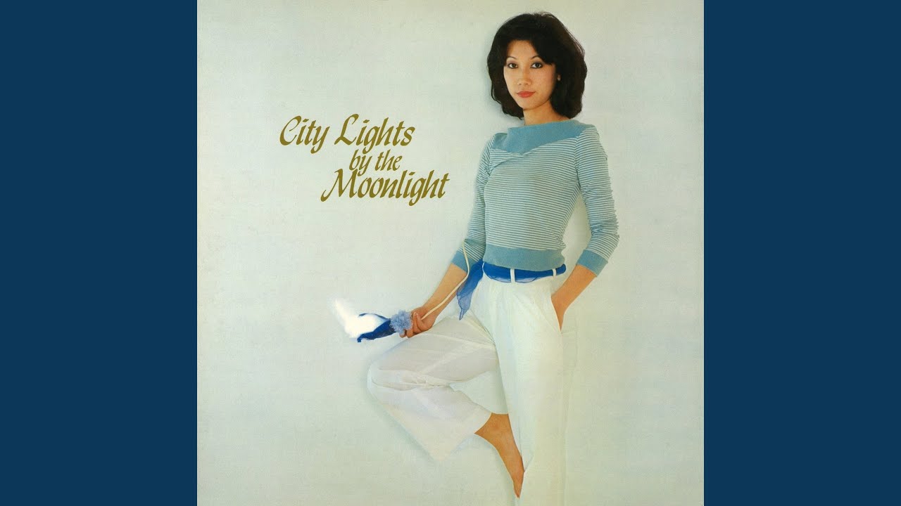 City Lights By The Moonlight