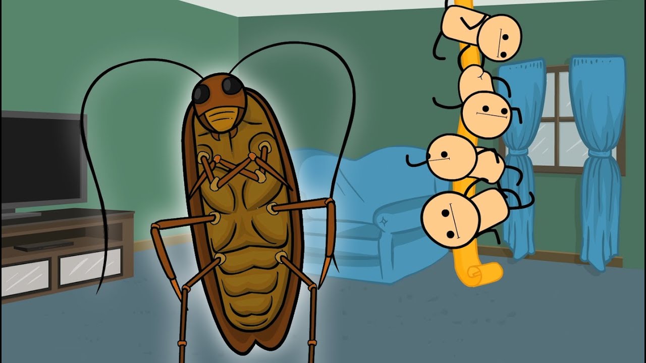 oh no it's bugs | C&H Compilation