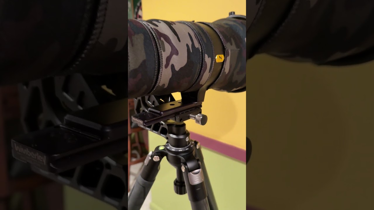 Nikon Z9, 600mm F4 G and ProMediaGear GKJr Katana Pro Gimbal