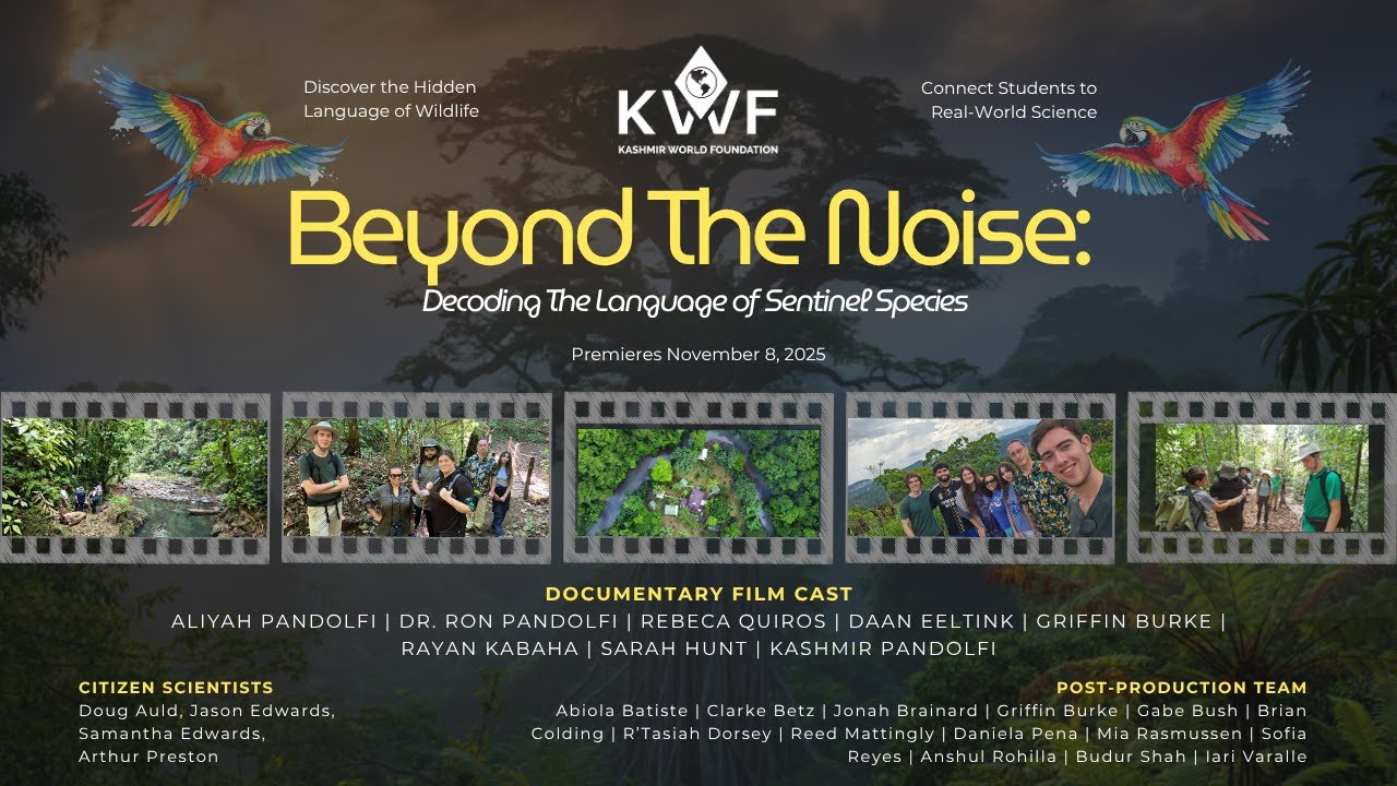 Beyond The Noise: Decoding the Language of Sentinel Species in Costa Rica’s Rainforest