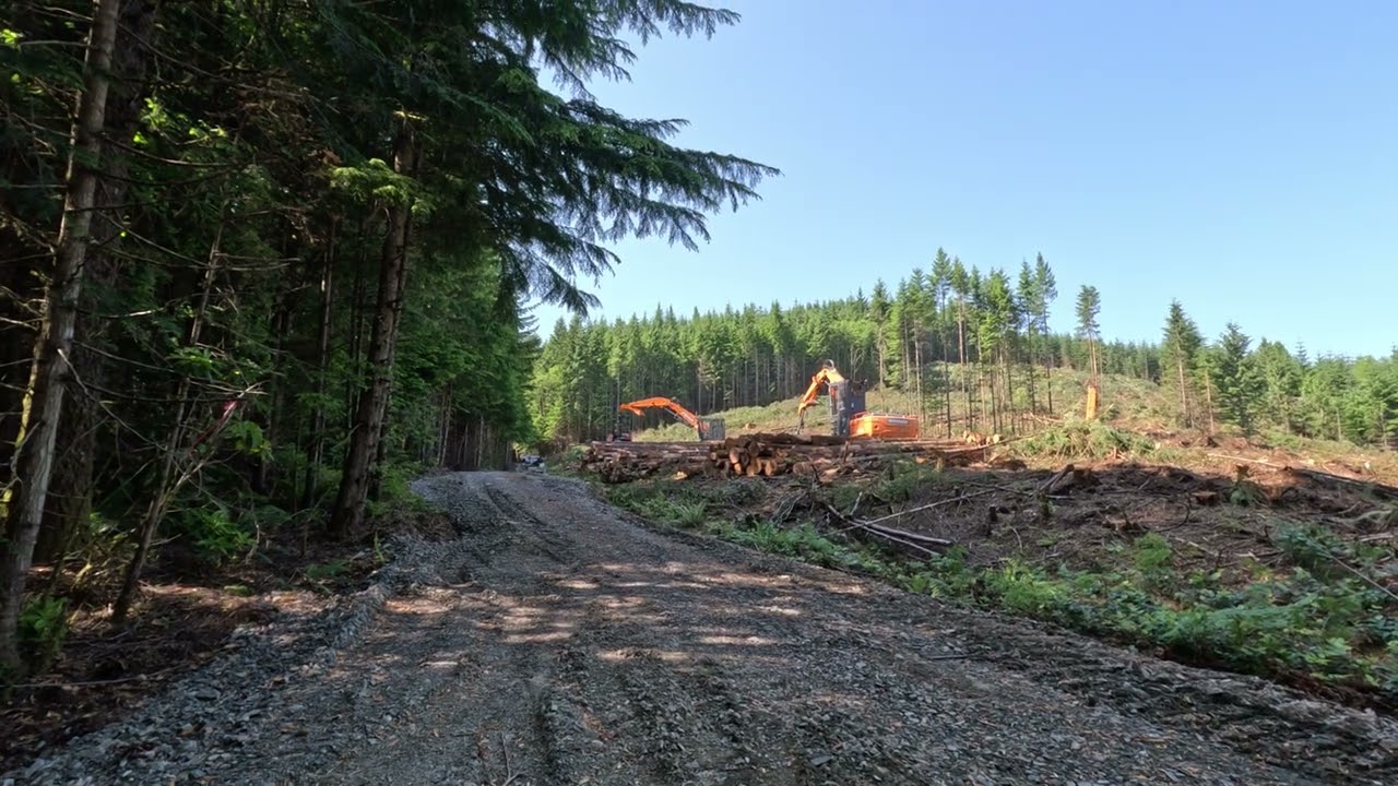 shovel logging at its very best