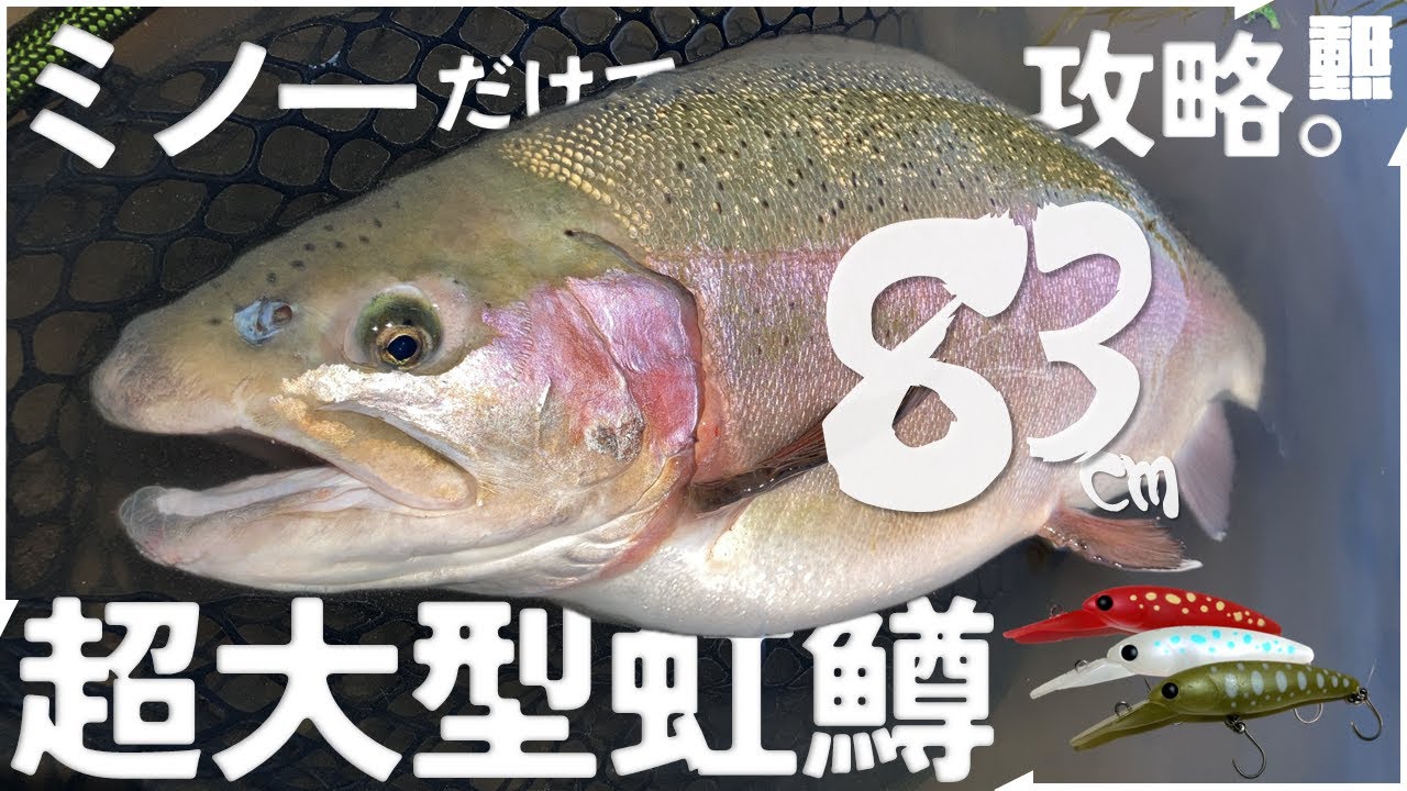 管理釣り場でミノーだけで83cmの怪物レインボーを狙う。【エリアミノーイング】#エリアトラウト #ユーランド清水川 #fishing