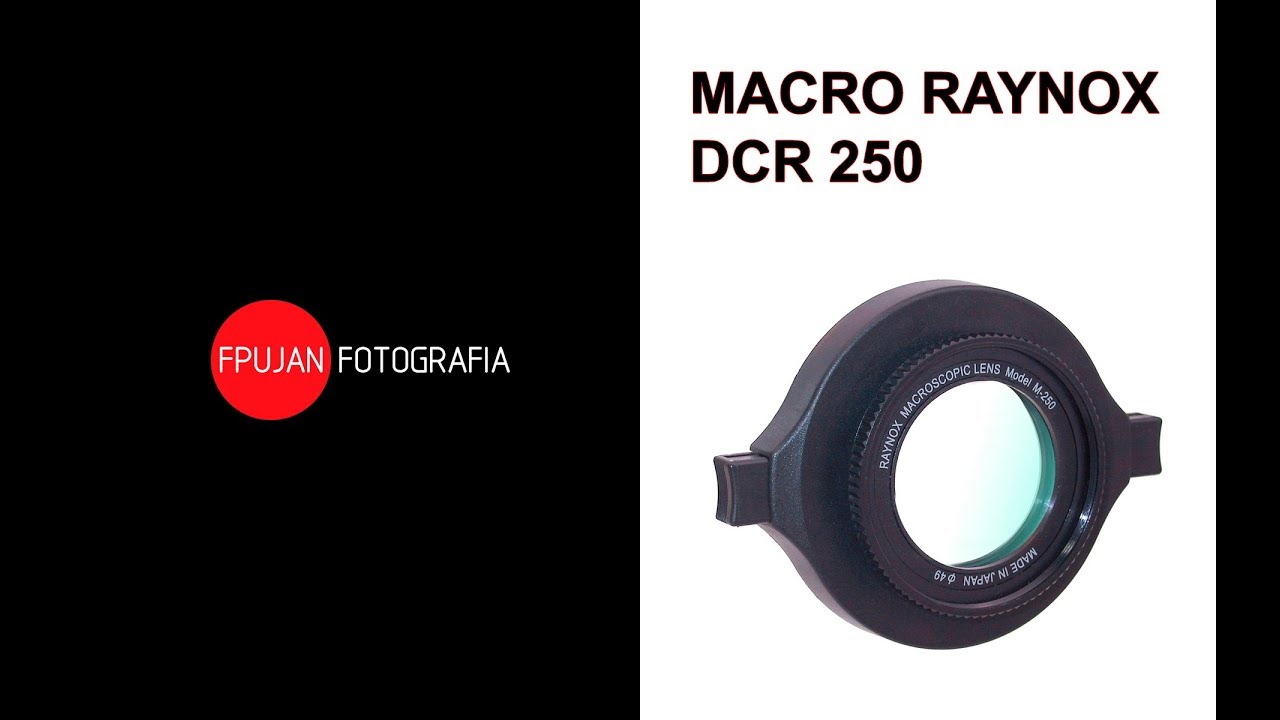 Raynox DCR-250 review