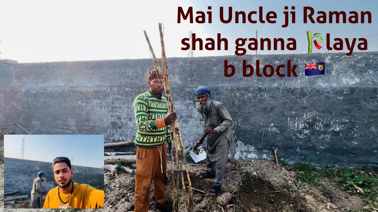 sugarcane ki kheti🎋B block 🇹🇨