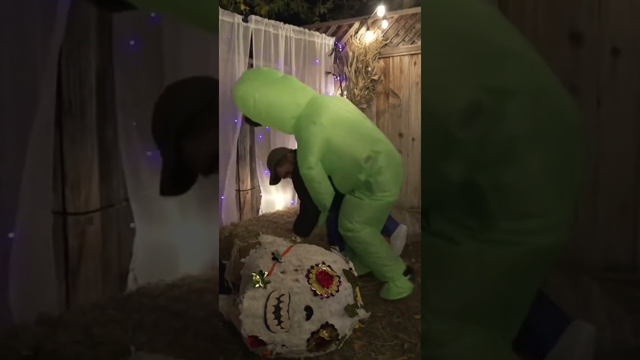 Alien Abduction Costume ABDUCTED 👽🛸