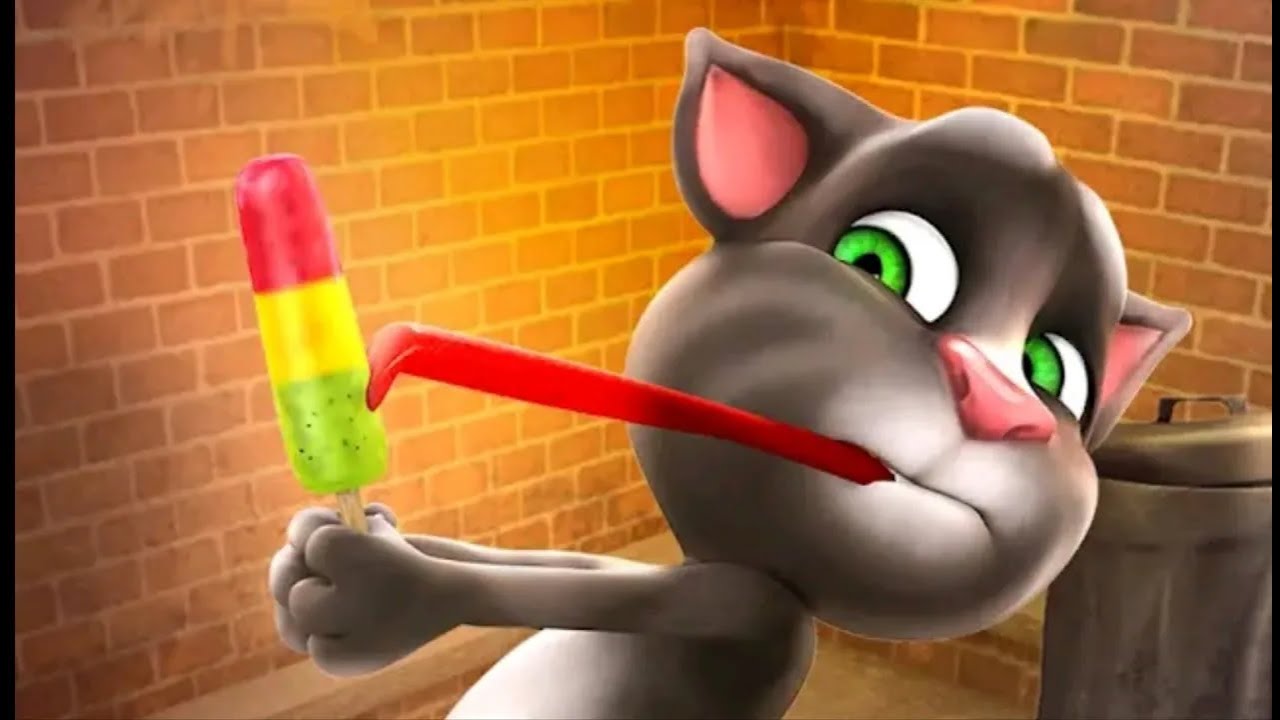 My Talking Tom Cat Live