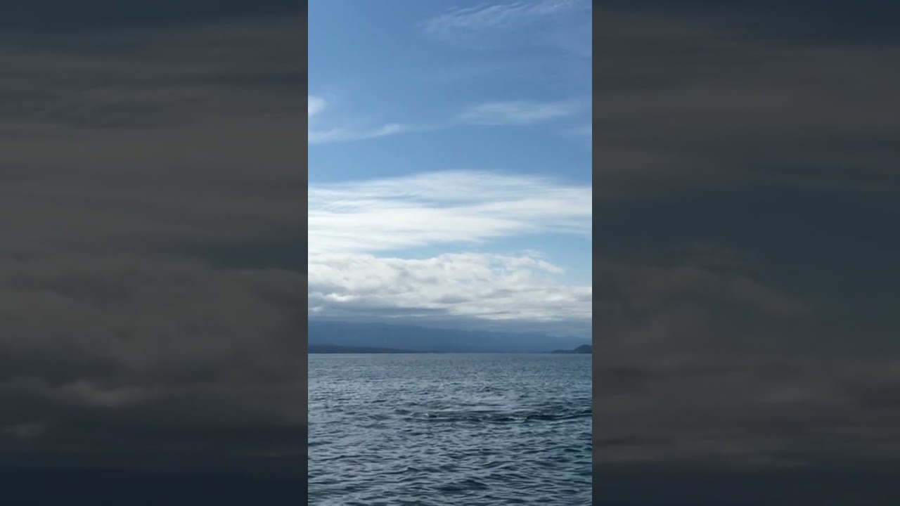 August 17, 2019 &lsquo;he&rsquo;s coming right at us&rsquo;