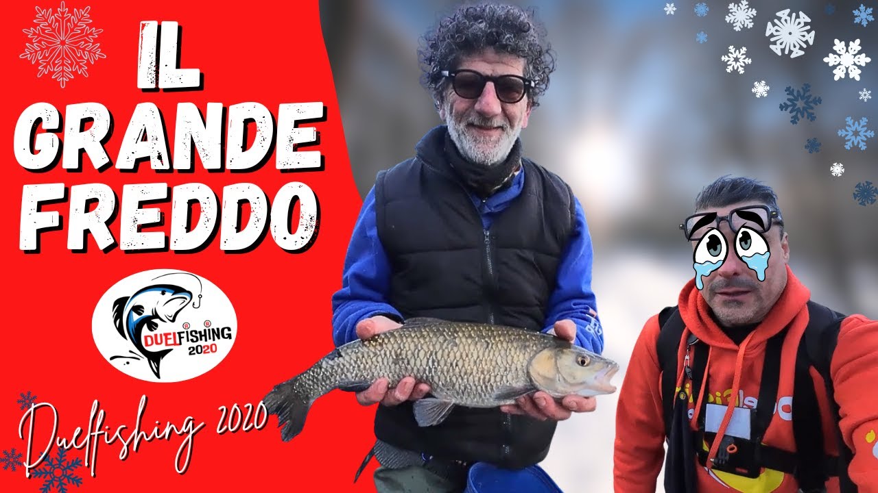UN BISENZIO ARTICO CI REGALA UN PAIO DI BEI 